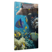 Porte-bloc Corail et poissons en Mer Rouge, Egypte (Swatch)