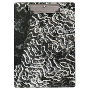 Porte-bloc Corail noir et blanc I Photo de nature abstraite