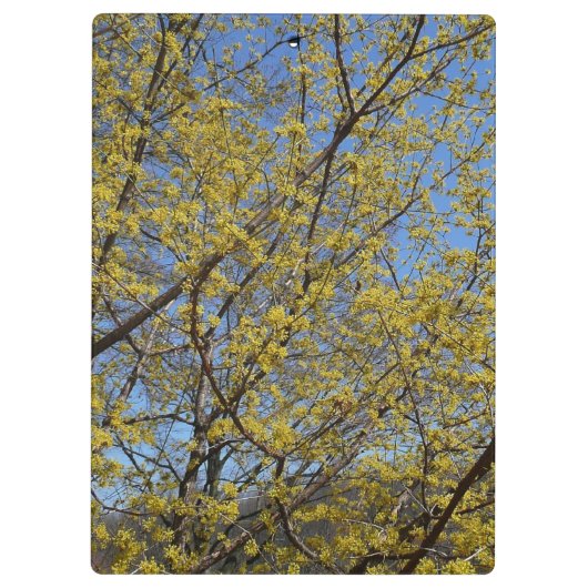 Porte-bloc Cornelian Cherry (Dos)