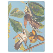 Porte-bloc Coucou à bec jaune Audubon (Dos)