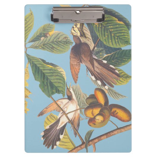 Porte-bloc Coucou à bec jaune Audubon (Devant)