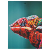 Porte-bloc Couleur Changement arc-en-ciel Chameleon Reptile (Dos)