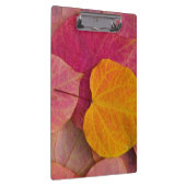 Porte-bloc Couleur d'automne sur le sébaste de Forest Pansy (Swatch)