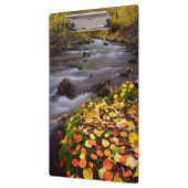 Porte-bloc Couleurs d'automne le long de McGee Creek (Gauche)