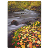 Porte-bloc Couleurs d'automne le long de McGee Creek (Dos)