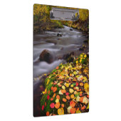 Porte-bloc Couleurs d'automne le long de McGee Creek (Swatch)