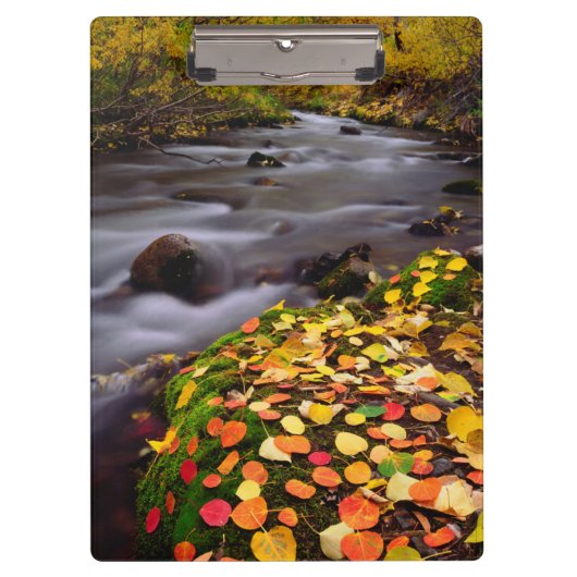 Porte-bloc Couleurs d'automne le long de McGee Creek (Devant)