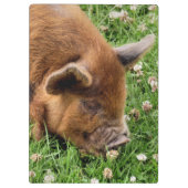 PORTE-BLOC COUPER (Dos)