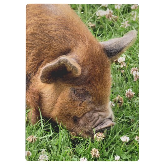 PORTE-BLOC COUPER (Dos)