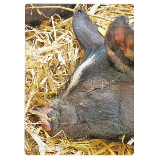 PORTE-BLOC COUPER (Dos)