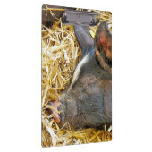 PORTE-BLOC COUPER (Swatch)