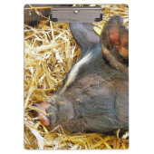 PORTE-BLOC COUPER (Devant)