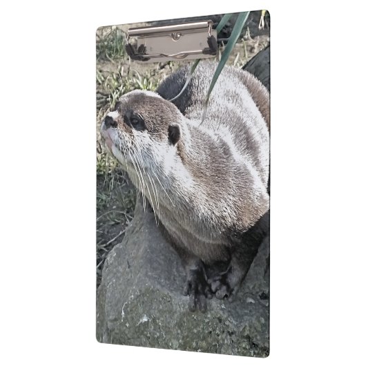 PORTE-BLOC COUPER OTTER (Gauche)