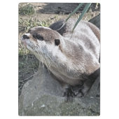PORTE-BLOC COUPER OTTER (Dos)