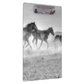 Porte-bloc Course de mustang (Swatch)