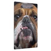 Porte-bloc Coussin de jet de Bouledogue Anglais (Swatch)