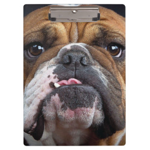 Porte-bloc Coussin de jet de Bouledogue Anglais