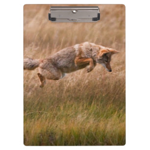 Porte-bloc Coyote sautant - prés de gibbon