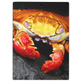 Porte-bloc Crabe de Galapagos (Dos)