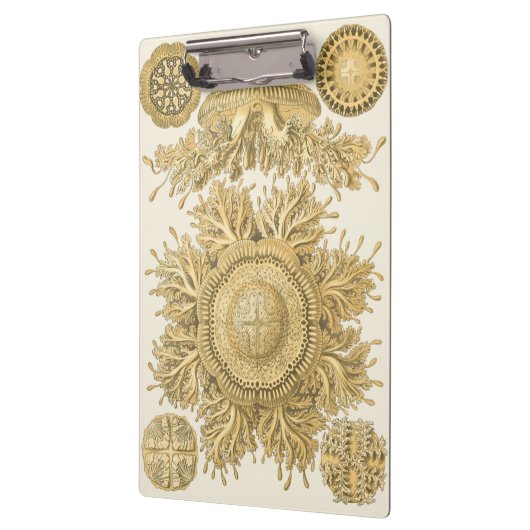 Porte-bloc Créatures d'or de mer (Gauche)