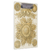 Porte-bloc Créatures d'or de mer (Swatch)