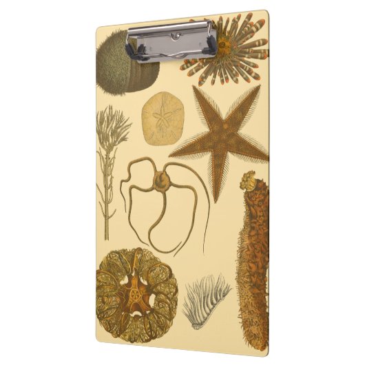 Porte-bloc Créatures sous-marines de mer (Gauche)