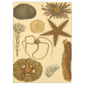 Porte-bloc Créatures sous-marines de mer (Dos)