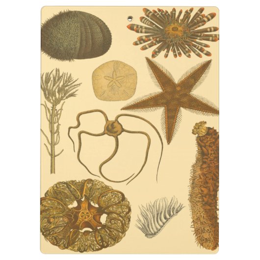 Porte-bloc Créatures sous-marines de mer (Dos)