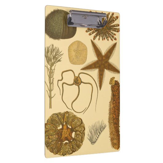 Porte-bloc Créatures sous-marines de mer (Swatch)