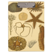 Porte-bloc Créatures sous-marines de mer (Devant)