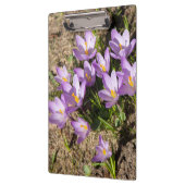 Porte-bloc Crocus de printemps mignons (Gauche)
