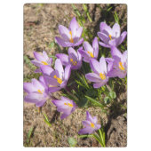 Porte-bloc Crocus de printemps mignons (Dos)