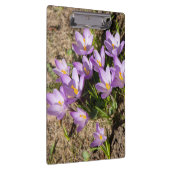 Porte-bloc Crocus de printemps mignons (Swatch)
