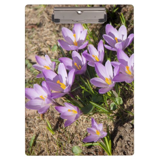 Porte-bloc Crocus de printemps mignons (Devant)