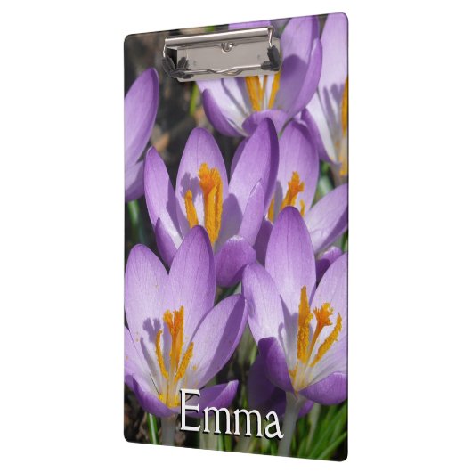 Porte-bloc Crocus violets ensoleillés (Gauche)