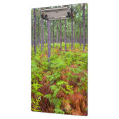 Porte-bloc Croissance de la peau commune (Pteridium Aquilinum (Gauche)