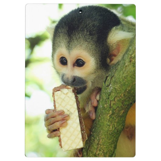 Porte-bloc Cute Baby Squerrl Monkey Eating a Wafer Biscuit (Dos)