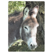 PORTE-BLOC CUTE DONKEY (Dos)