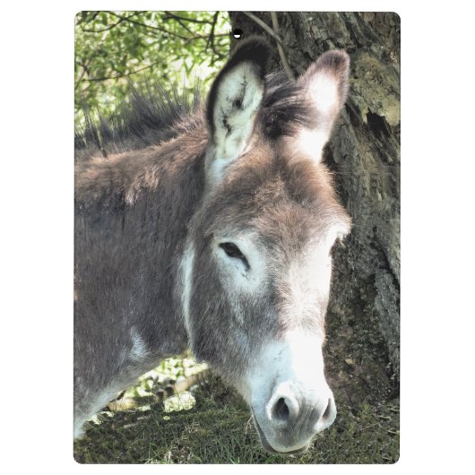 PORTE-BLOC CUTE DONKEY (Dos)