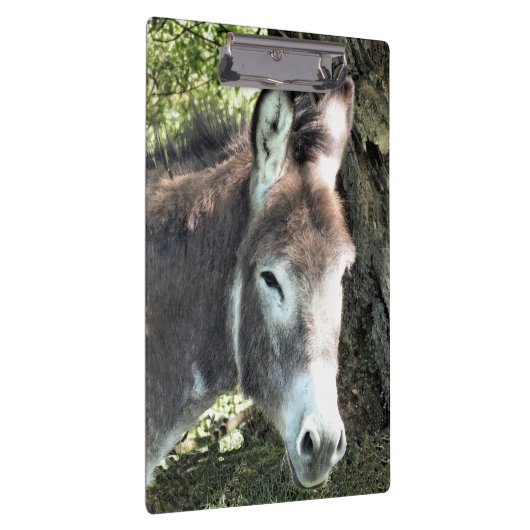 PORTE-BLOC CUTE DONKEY (Swatch)