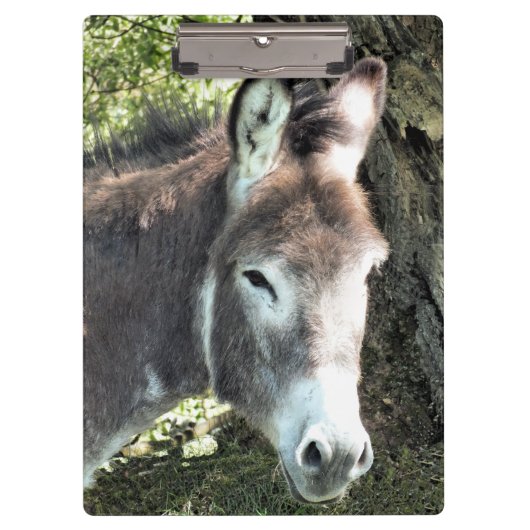 PORTE-BLOC CUTE DONKEY (Devant)