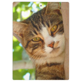 Porte-bloc Cute Escalade de chat un arbre (Dos)