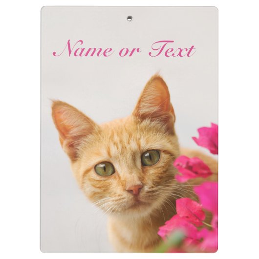 Porte-bloc Cute Ginger Chat Kitten Vous Regardant - Personnal (Dos)