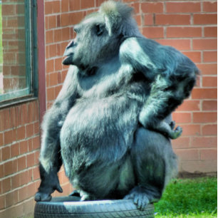 PORTE-BLOC CUTE GORILLA