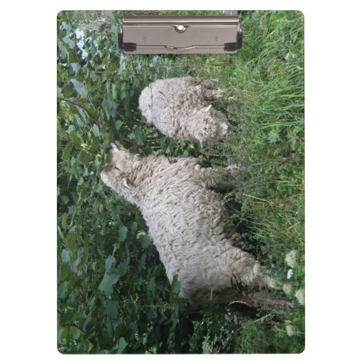 Porte-bloc Cute Mange Feuille Porte - bloc (Devant)