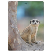 Porte-bloc Cute Meerkat Sat sur arbre (Dos)