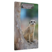 Porte-bloc Cute Meerkat Sat sur arbre (Swatch)