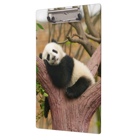 Porte-bloc Cute ours Panda (Gauche)
