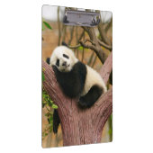 Porte-bloc Cute ours Panda (Swatch)