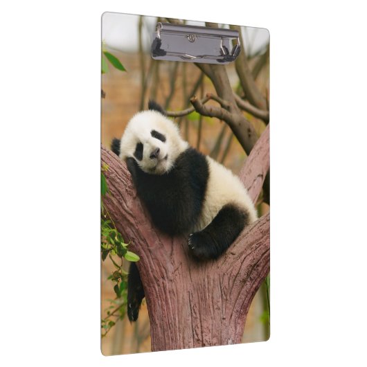 Porte-bloc Cute ours Panda (Swatch)